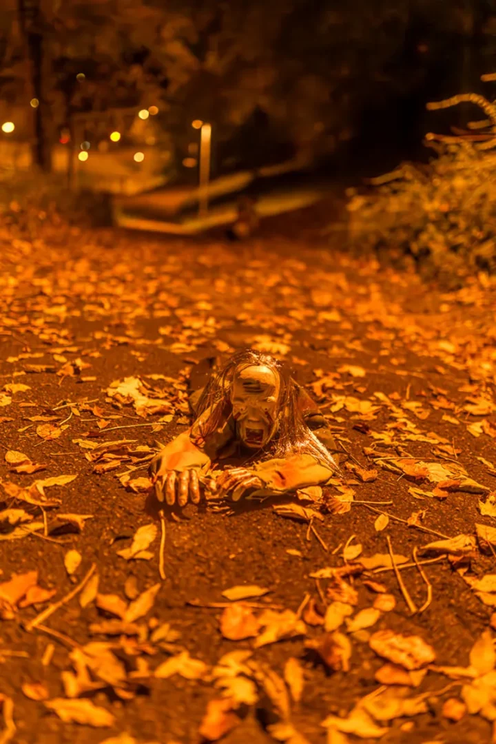 gklickt - Historix-tours Freiburg - Halloween 2025 live Fotograf Gregor Marstaller | gklickt