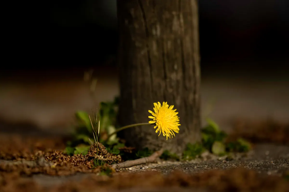gklickt - Natur-orte-begeistert-momentfotografie Foto Gregor Marstaller