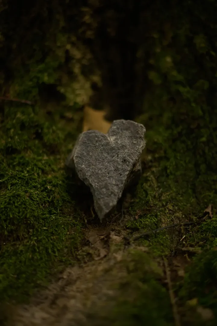 gklickt - Natur-orte-begeistert-momentfotografie Foto Gregor Marstaller