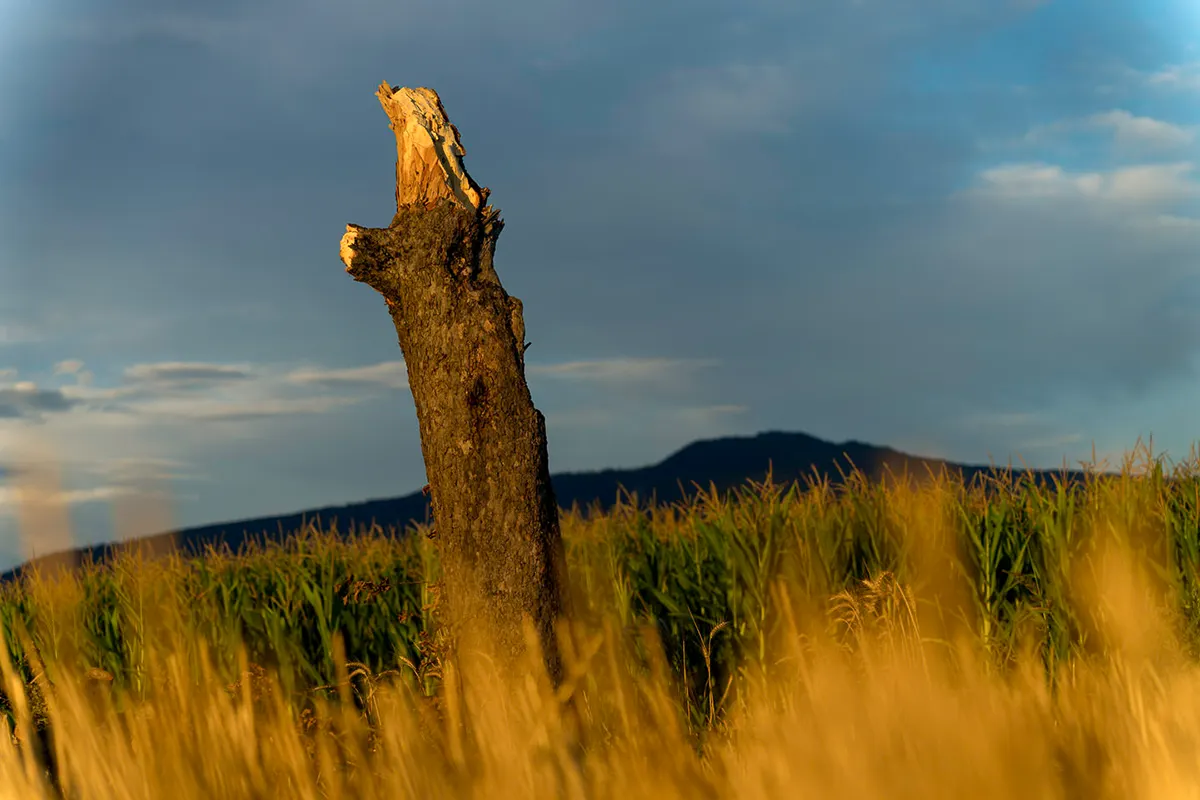 gklickt - Natur-orte-begeistert-momentfotografie Foto Gregor Marstaller